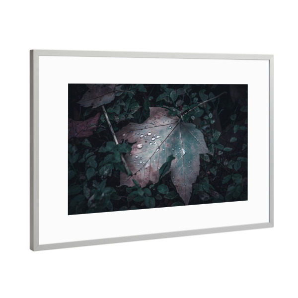 Poster mit Rahmen Silber "Ahornblatt im Wald" artboxONE - Natur,Floral