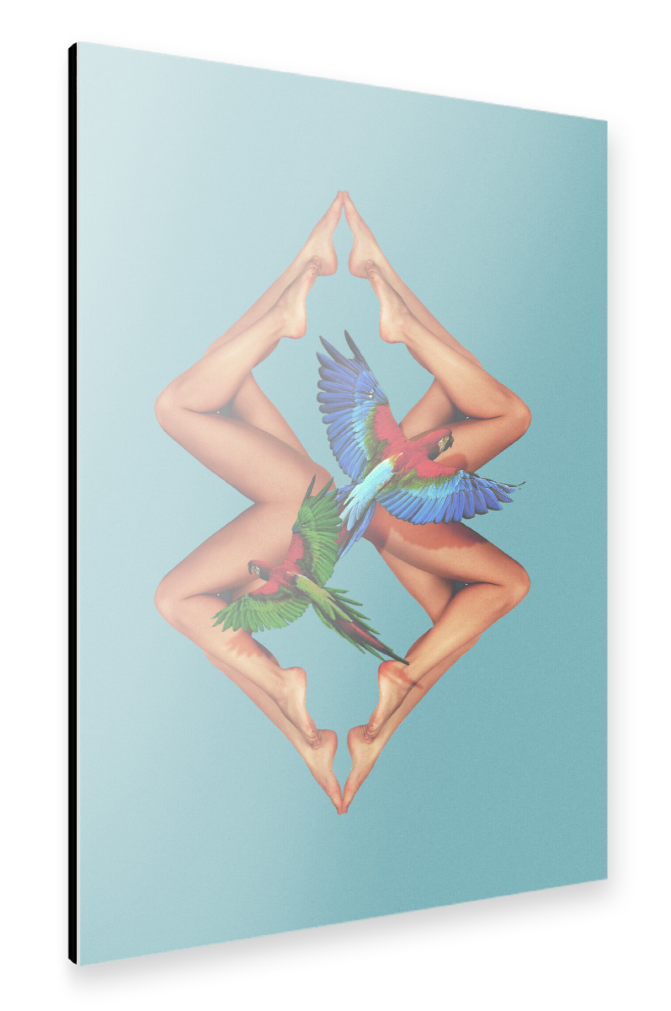Alu-Dibond "Bodies" 30x20 cm artboxONE