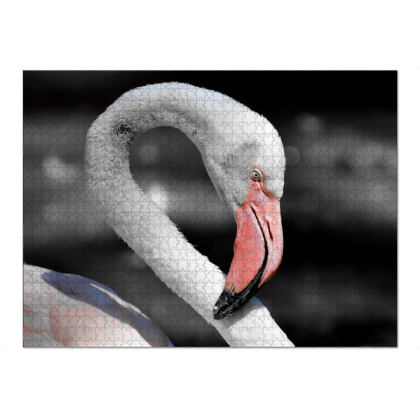 Puzzle Ravensburger "Flamingo Portrait ck" artboxONE - Natur,Tiere - Flamingo,Vogel,Colorkey,Bird,Tier,Animal,Nature,Natur,Portrait,Closeup