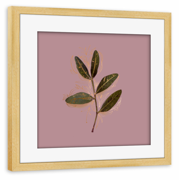 Poster mit Rahmen kiefer "Rose Leaf Leaf" artboxONE - Natur,Floral,Abstrakt