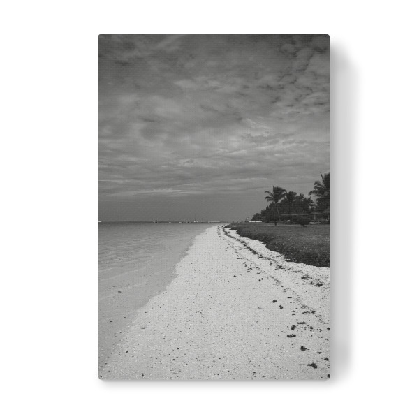 Leinwandbild "Palm beach BW" artboxONE - Natur,Reise,Reise / Strand und Meer