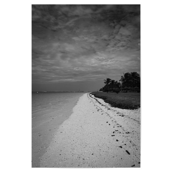 Poster "Palm beach BW" artboxONE - Natur,Reise,Reise / Strand und Meer