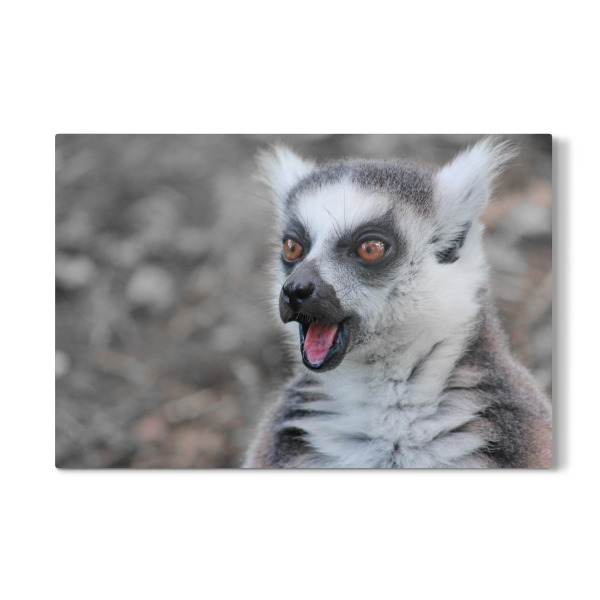 Galerie-Print "Lemure ck" 30x20 cm artboxONE