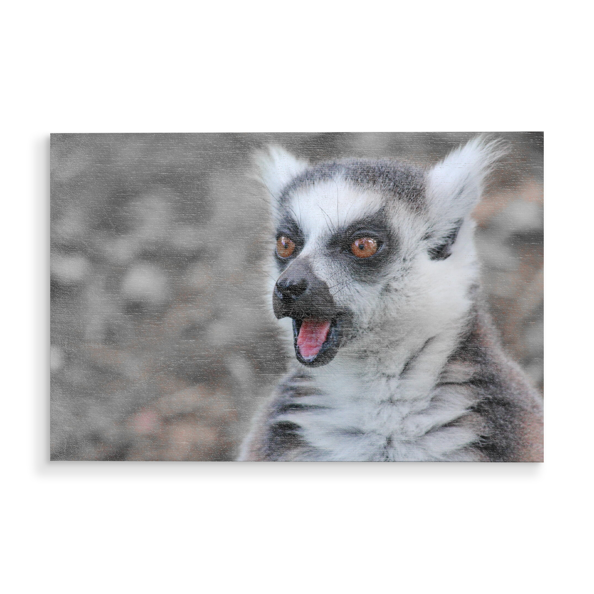 Holzbild "Lemure ck" artboxONE - Natur,Tiere - Lemure,Primaten,Madagaska,Colorkey,Tier,Nature,Natur,Portrait,Funny,Lustig,Witzig,Animal
