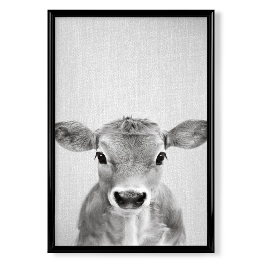 Calf - Black & White