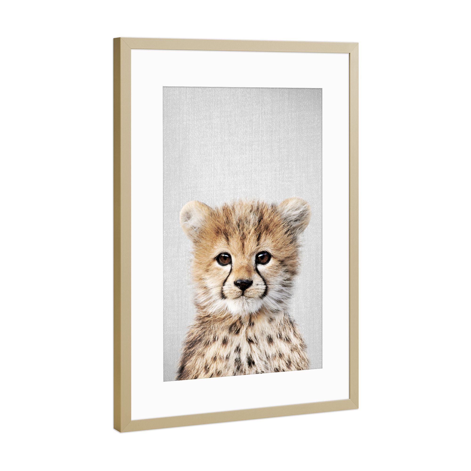 Poster mit Rahmen Gold "Baby Cheetah - Colorful" artboxONE - Natur,Für Kinder,Tiere,Reise / Afrika,Liebe