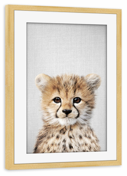 Poster mit Rahmen kiefer "Baby Cheetah - Colorful" artboxONE - Natur,Für Kinder,Tiere,Reise / Afrika,Liebe