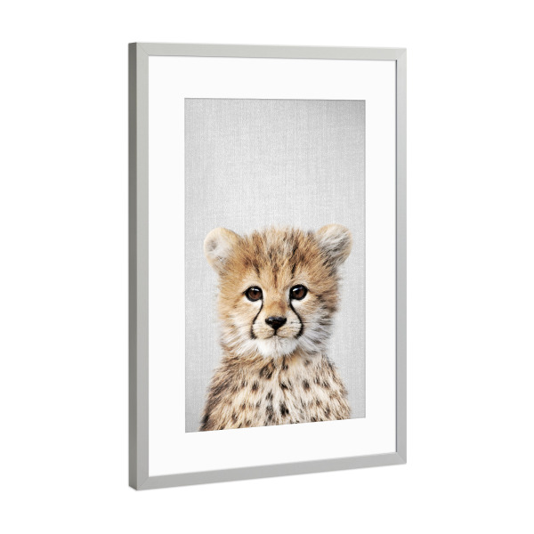 Poster mit Rahmen Silber "Baby Cheetah - Colorful" artboxONE - Natur,Für Kinder,Tiere,Reise / Afrika,Liebe