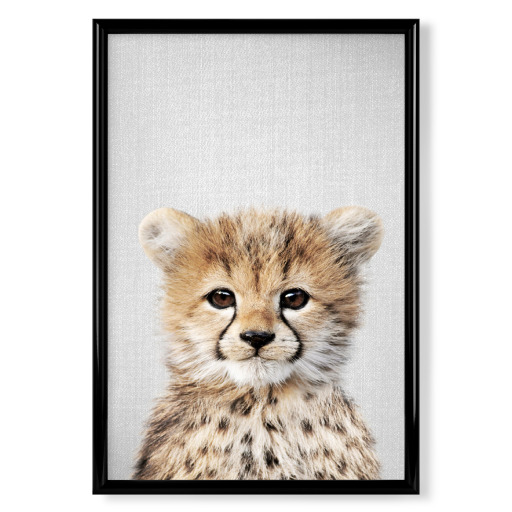 Baby Cheetah - Colorful