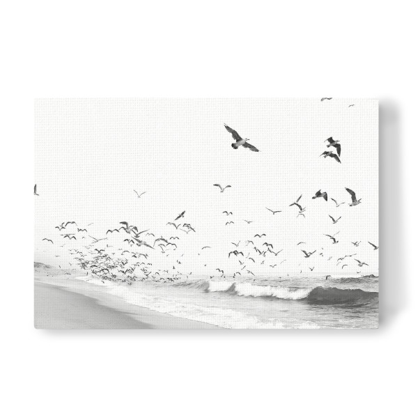 Leinwandbild "Birds will fly" artboxONE - Natur,Tiere - Birds,Ocean,Waves,Beach,Bird,Free,Meer,Sea,Water,Wasser,Animal,Tier,Wild,Nature,Natur