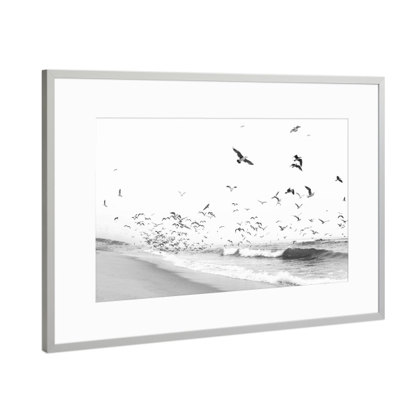 Poster mit Rahmen Silber "Birds will fly" artboxONE - Natur,Tiere