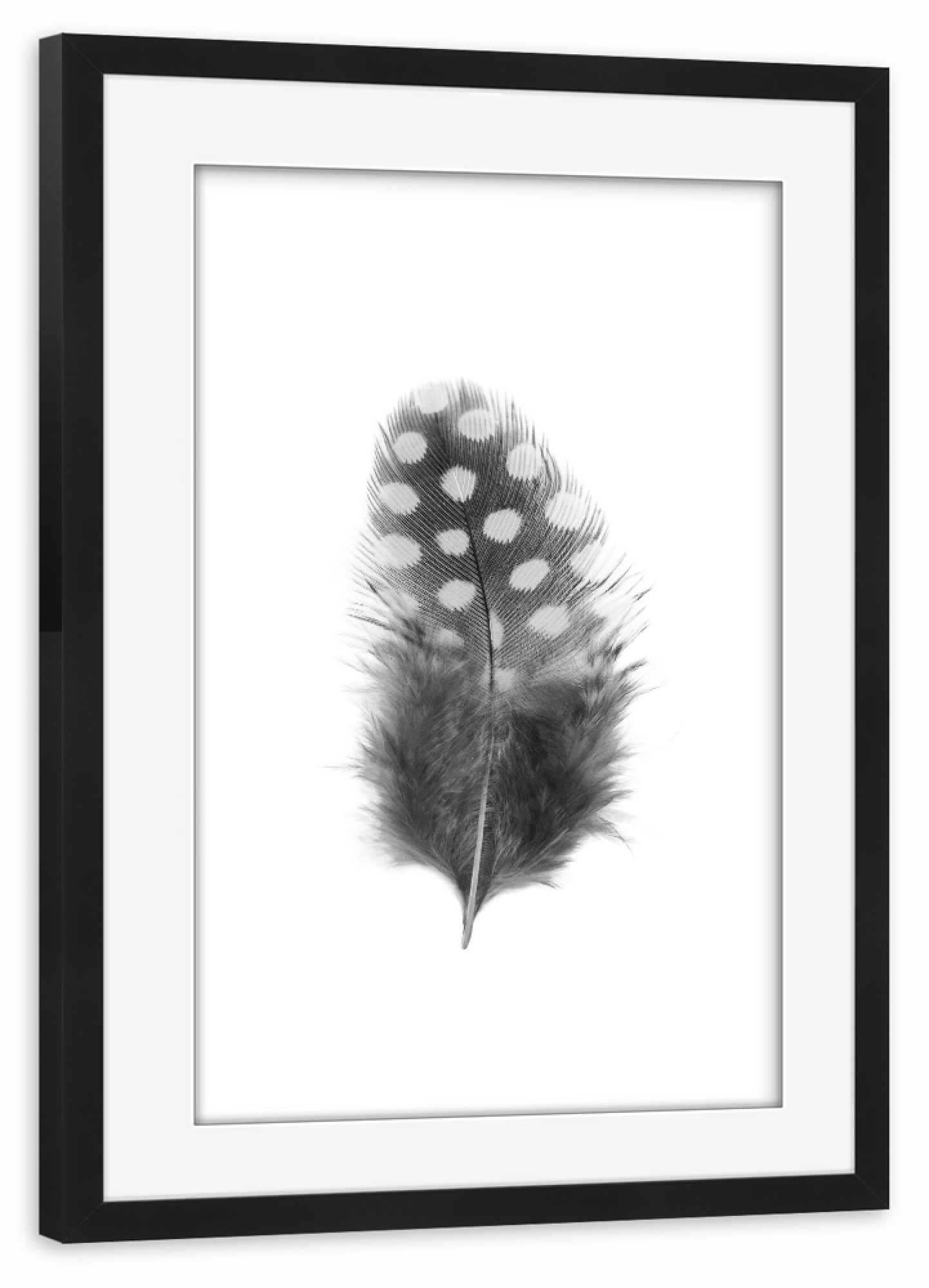 Poster mit Rahmen schwarz "Dotted Feather" artboxONE - Natur,Tiere,Abstrakt