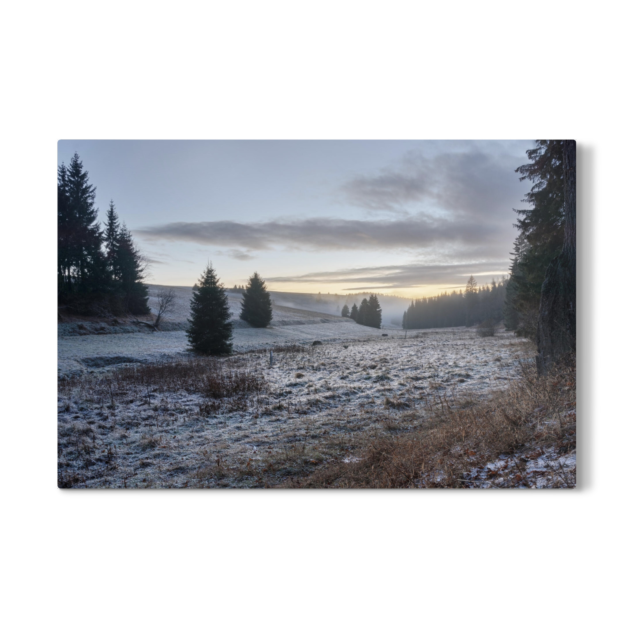 Galerie-Print "Vereiste Wiese im Abendlicht" 30x20 cm artboxONE