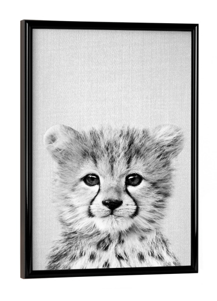 Poster mit schwarzem Rahmen "Baby Cheetah - Black & White" artboxONE - Natur,Für Kinder,Tiere