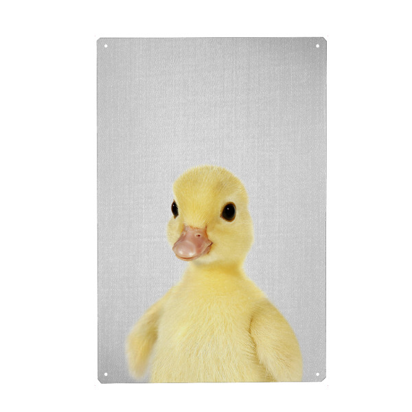 Metall Poster "Yellow Duckling - Colorful" artboxONE - Für Kinder,Tiere,Lustig