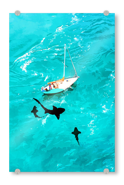Acrylglasbild "Close Call" artboxONE - Natur,Tiere,Unterwasser