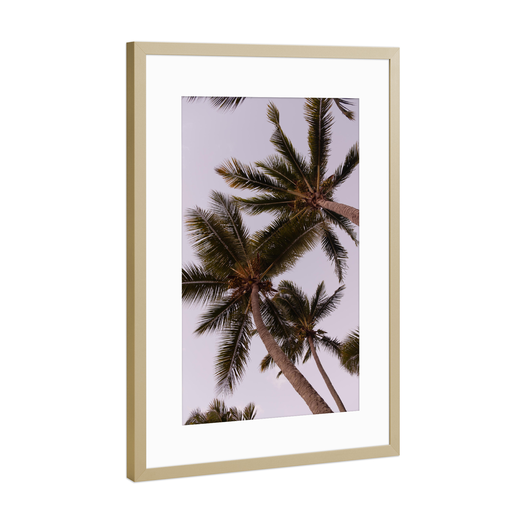 Poster mit Rahmen Gold "Under the palm trees" artboxONE - Natur,Reise,Floral,Reise / Strand und Meer