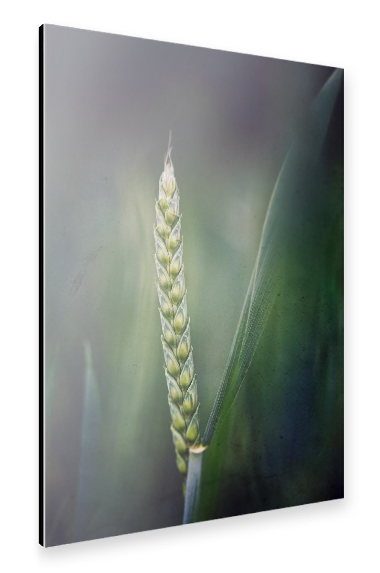 Alu-Dibond "Stand alone" 30x20 cm artboxONE