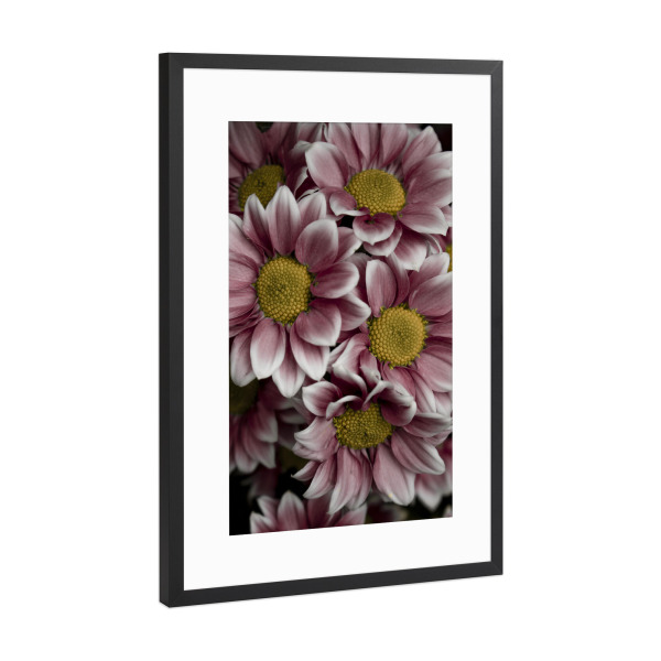 Poster mit Rahmen Schwarz (Metallic) "Beautiful pink flower" artboxONE - Natur,Reise,Floral