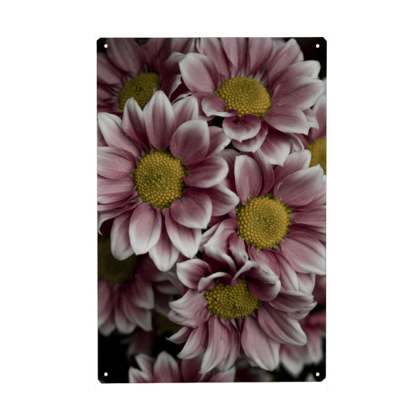 Holzbild "Beautiful pink flower" artboxONE - Natur,Reise,Floral