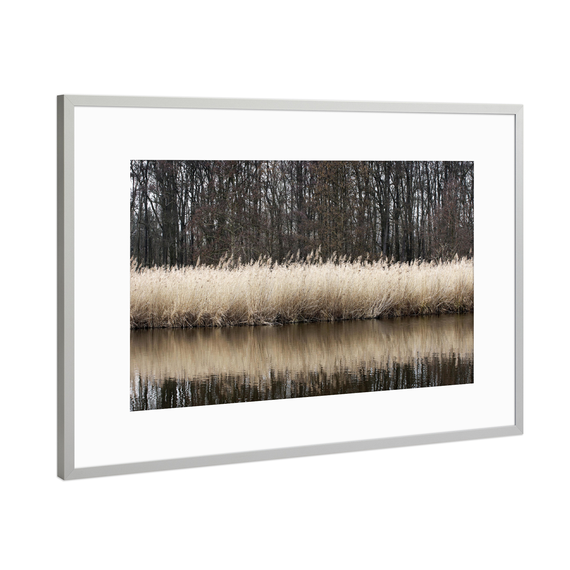 Poster mit Rahmen Silber "Schlifgürtel" artboxONE - Natur