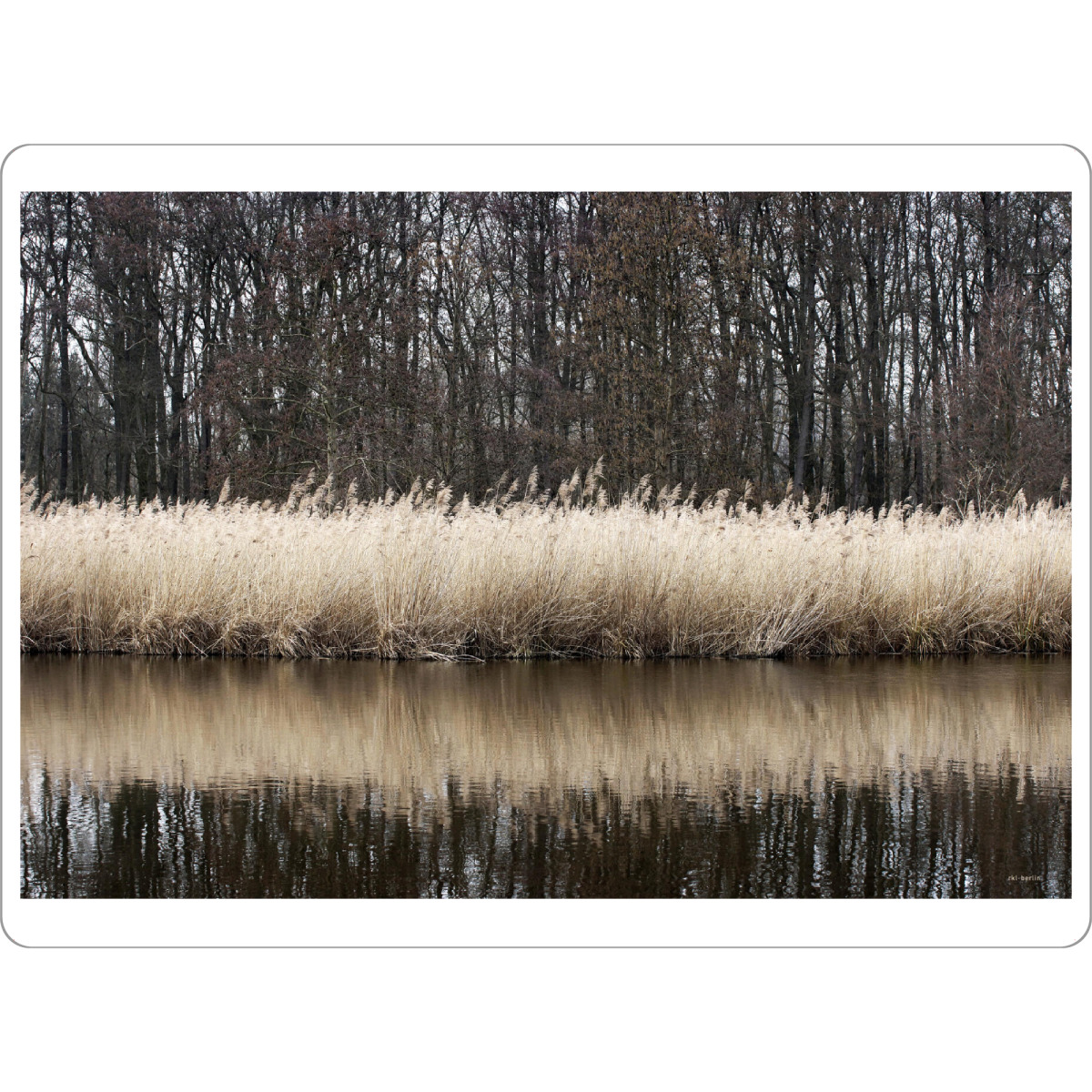 Tischset "Schlifgürtel" artboxONE - Natur