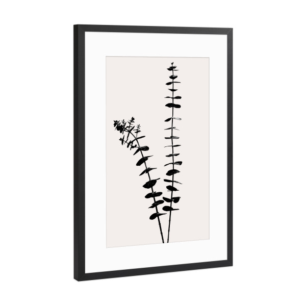 Poster mit Rahmen Schwarz (Metallic) "Eucalyptus Blatt" artboxONE - Natur,Floral