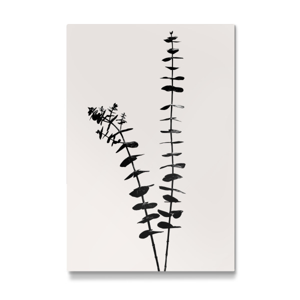 Galerie-Print "Eucalyptus Blatt" 30x20 cm artboxONE