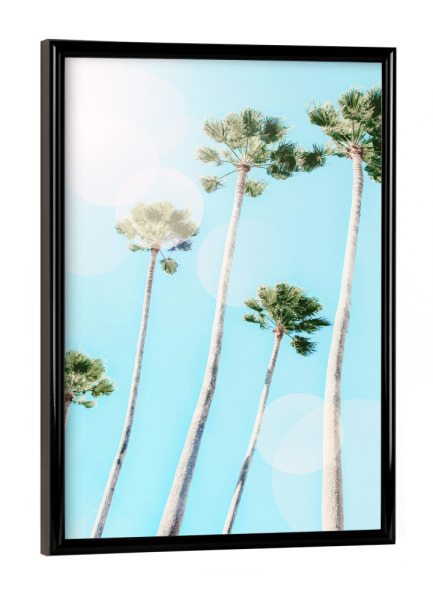 Poster mit schwarzem Rahmen "Summer Palms" artboxONE - Natur,Reise / Strand und Meer,Städte / Los Angeles