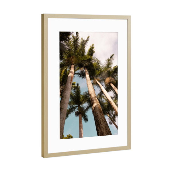 Poster mit Rahmen Gold "Sunny palms" artboxONE - Natur,Reise,Floral,Reise / Länder