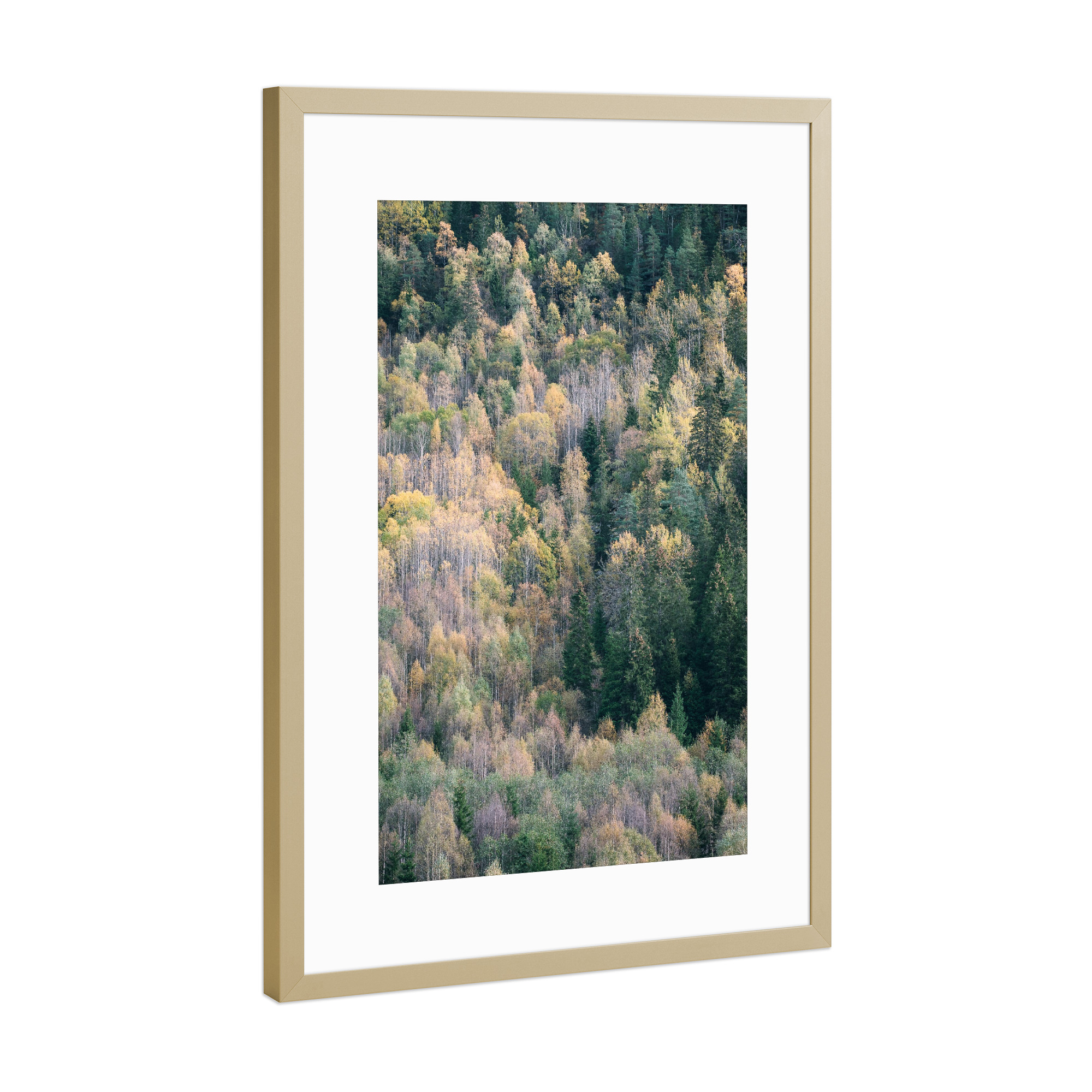 Poster mit Rahmen Gold "Die Farben des Waldes" artboxONE - Natur,Reise,Abstrakt,Reise / Länder