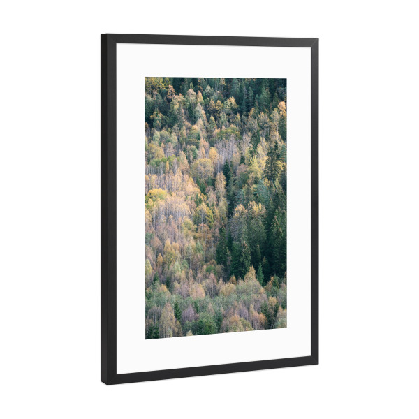 Poster mit Rahmen Schwarz (Metallic) "Die Farben des Waldes" artboxONE - Natur,Reise,Abstrakt,Reise / Länder