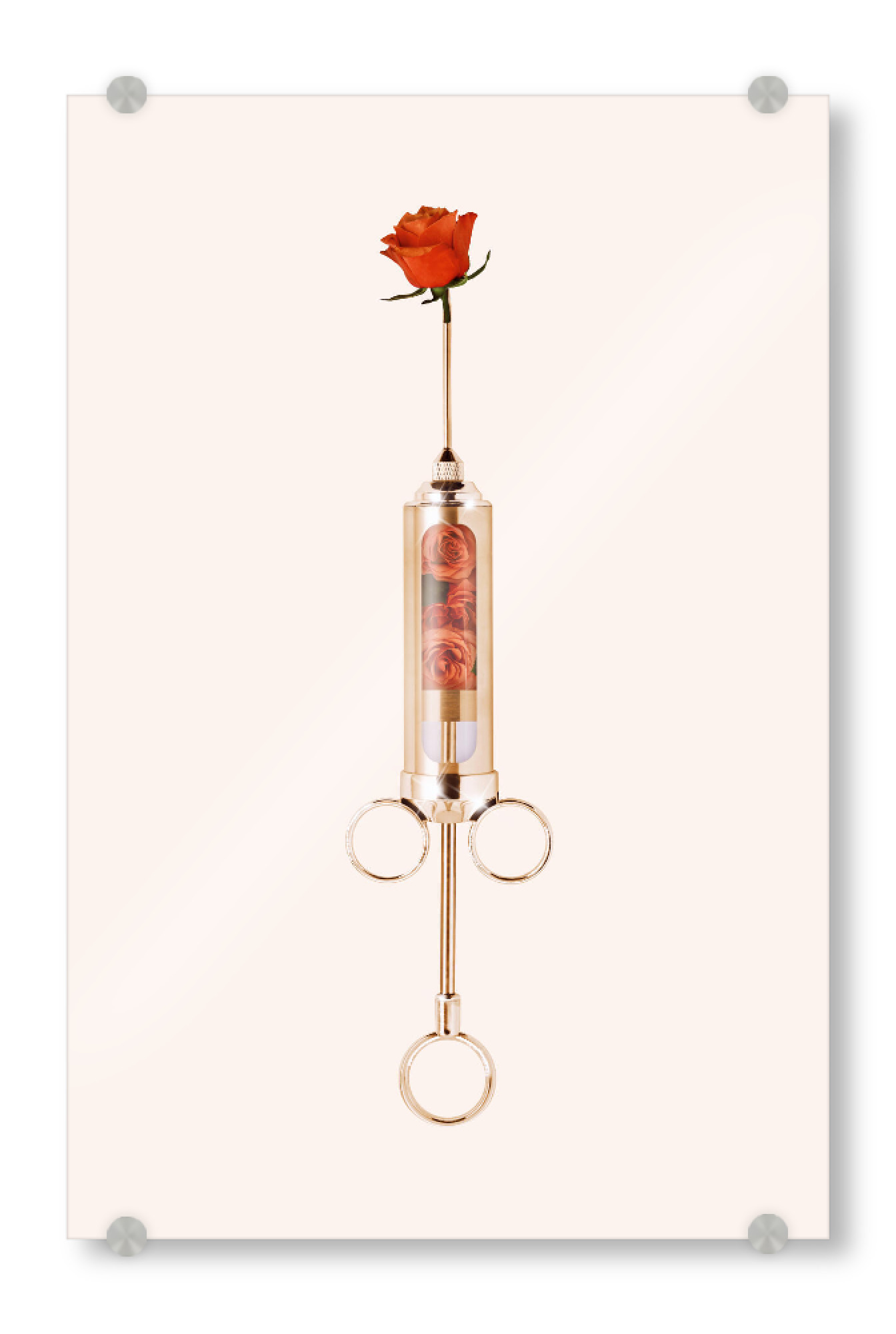 Acrylglasbild "Love Injection" artboxONE - Natur,Floral,Liebe