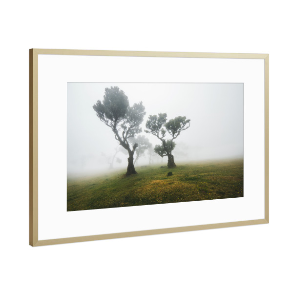 Poster mit Rahmen Gold "Trees in Fog" artboxONE - Natur,Reise