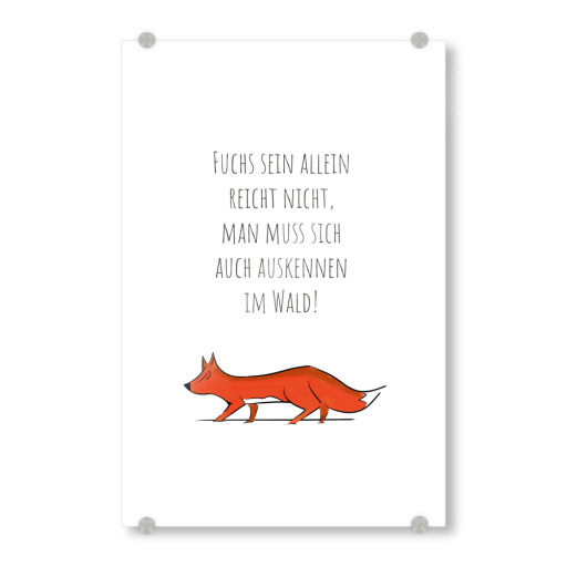 Der Fuchs im Wald