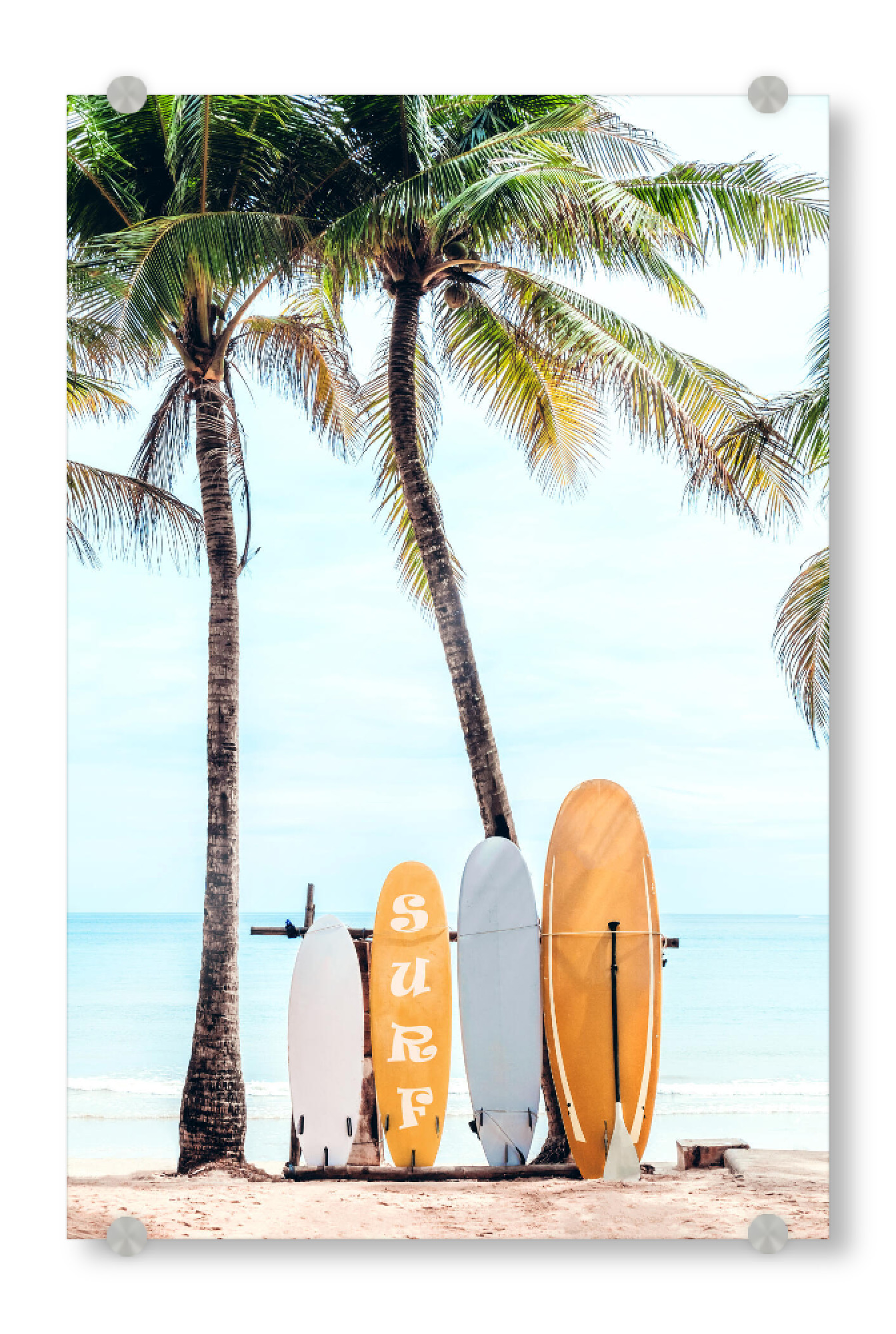 Acrylglasbild "Choose Your Surfboard" artboxONE - Natur,Für Kinder,Reise / Strand und Meer,Sport / Sommerspiele,Städte / Los Angeles
