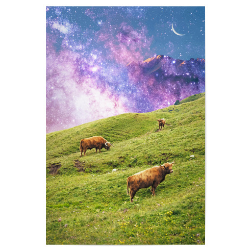 Space Cow Series-II