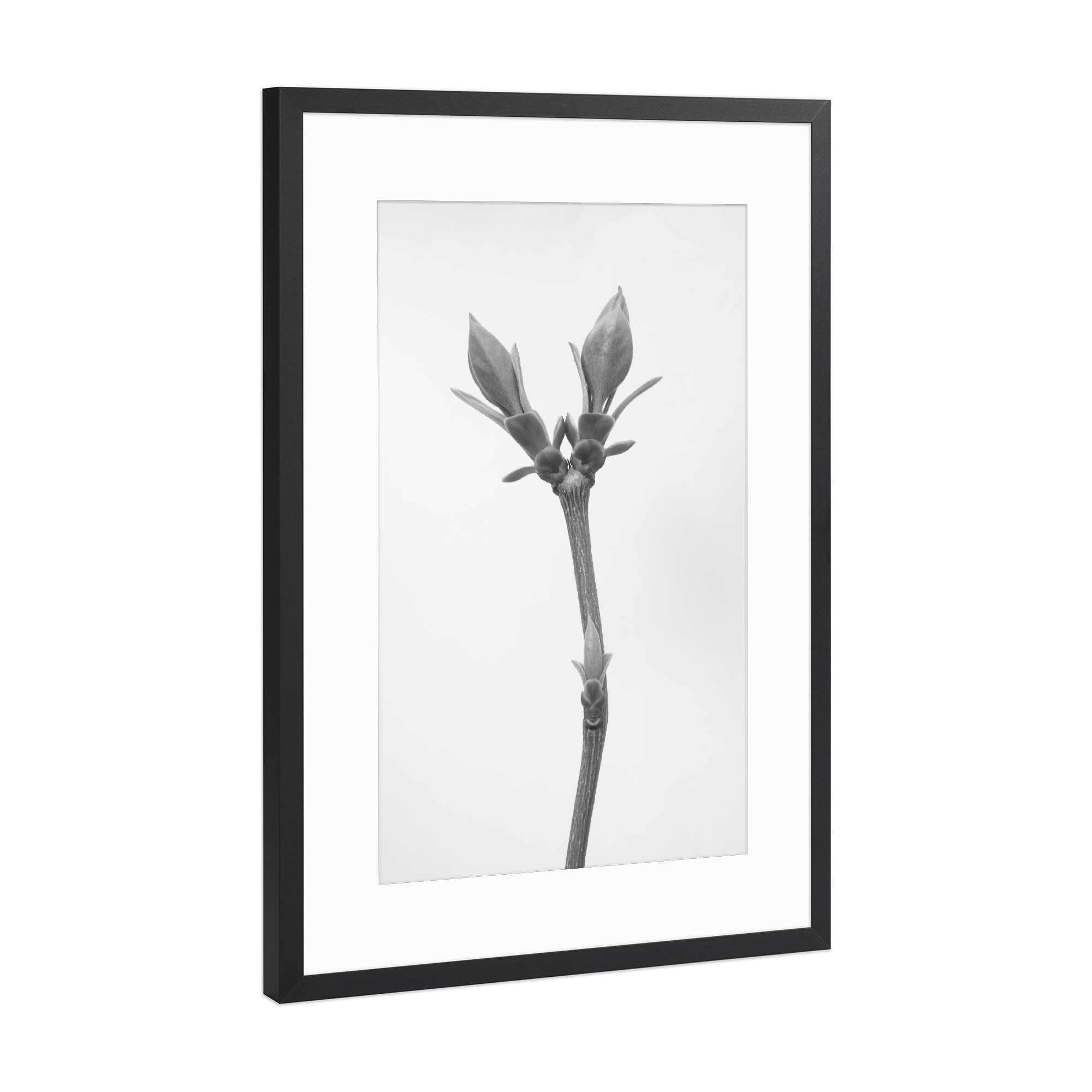 Poster mit Rahmen Schwarz (Metallic) "Art by Nature" artboxONE - Natur,Floral