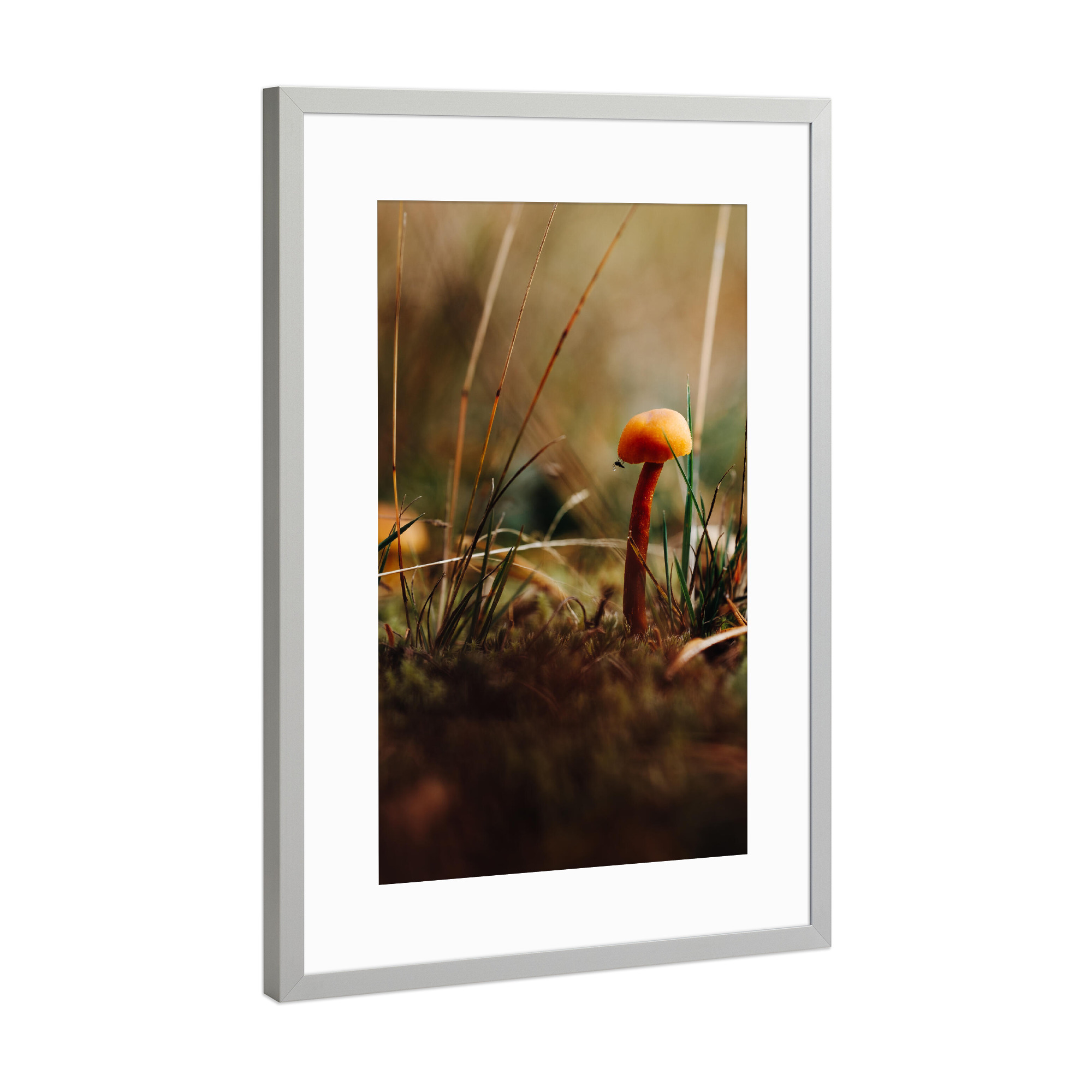 Poster mit Rahmen Silber "Little world" artboxONE - Natur,Reise,Abstrakt,Reise / Länder