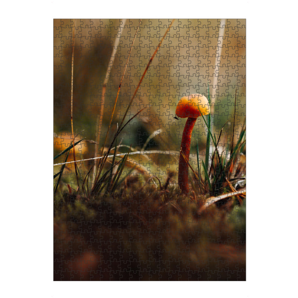 Puzzle Ravensburger "Little world" artboxONE - Natur,Reise,Abstrakt,Reise / Länder