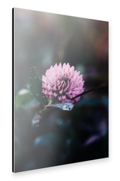 Alu-Dibond "Dash of colour" 30x20 cm artboxONE