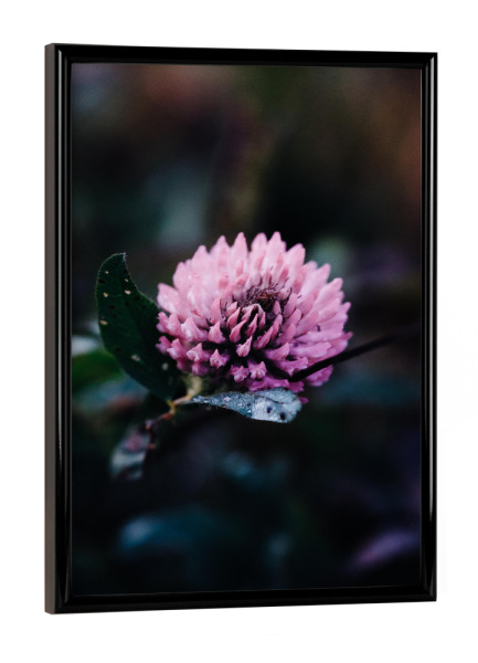 Poster mit schwarzem Rahmen "Dash of colour" artboxONE - Natur,Abstrakt