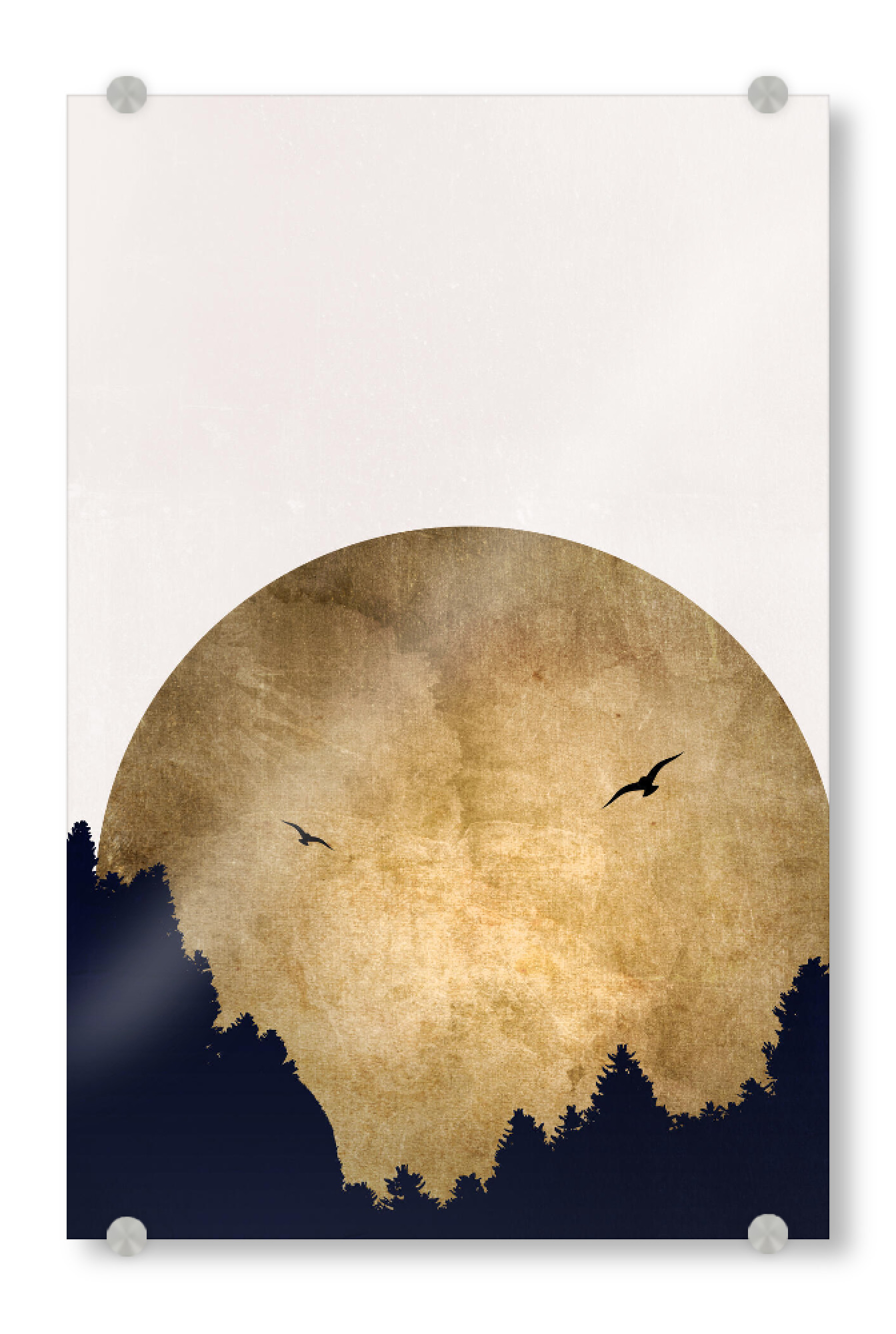 Acrylglasbild "Two Birds Flying" artboxONE - Natur,Tiere,Abstrakt - Vögel,Baum,Wald,Fliegen,Abstract,Abstrakt,Birds,Forest,Sonne,Sun,Trees,Minimal