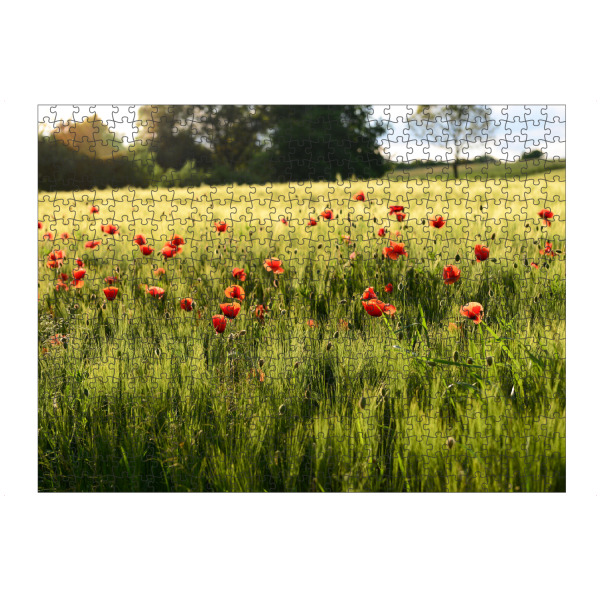 Puzzle Ravensburger "Mohn am Kornfeld" artboxONE - Natur,Floral - Sommer,Sonne,Blumen,Mohn,Blüten,Kornfeld,Natur,Nature,Landschaft,Landscape,Flowers