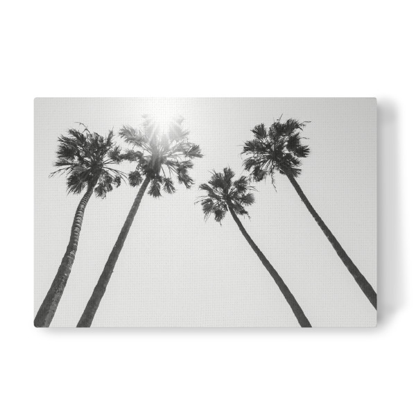 Leinwandbild "Palmenidyll mit Sonne" artboxONE - Reise / Strand und Meer