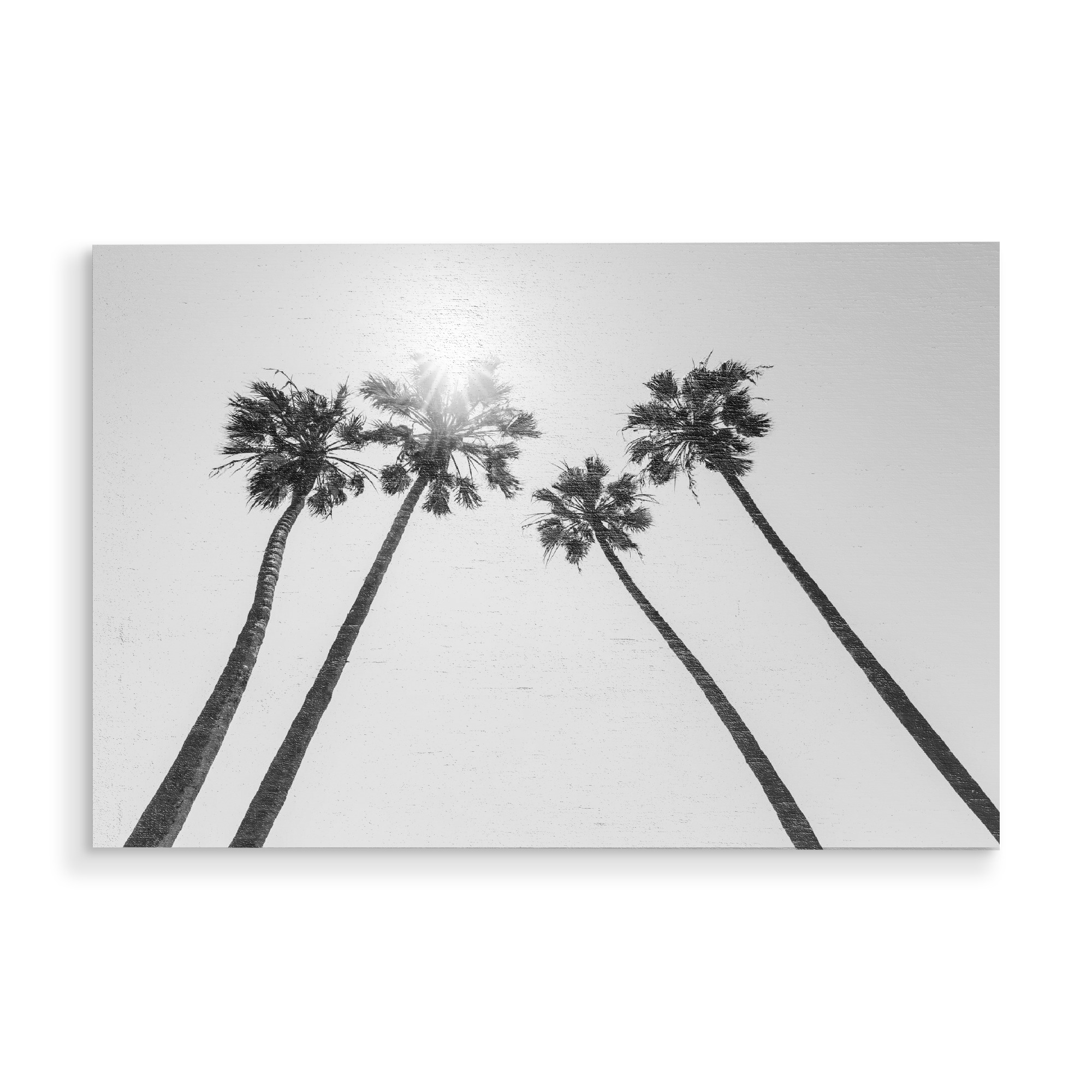 Holzbild "Palmenidyll mit Sonne" artboxONE - Reise / Strand und Meer