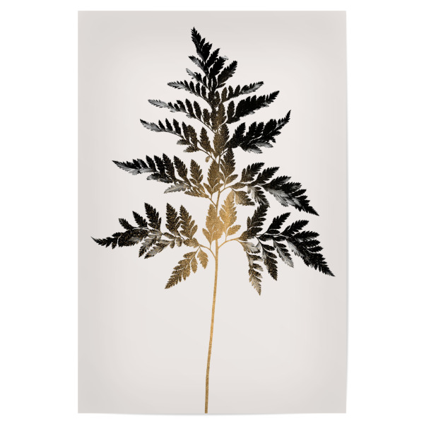 Poster 30x20 cm "Black Fern" artboxONE - Natur,Floral,Abstrakt - Pflanze,Farn,Plant,Blätter,Abstract,Abstrakt,Minimal,Minimalistisch,Nature,Natur