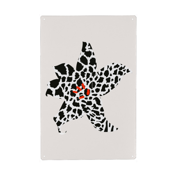 Metall Poster "Zebra Blossom" artboxONE - Natur,Floral,Abstrakt - Blume,Zebra,Gestreift,Flower,Floral,Abstract,Abstrakt,Natur,Nature,Beige,Stern,Star