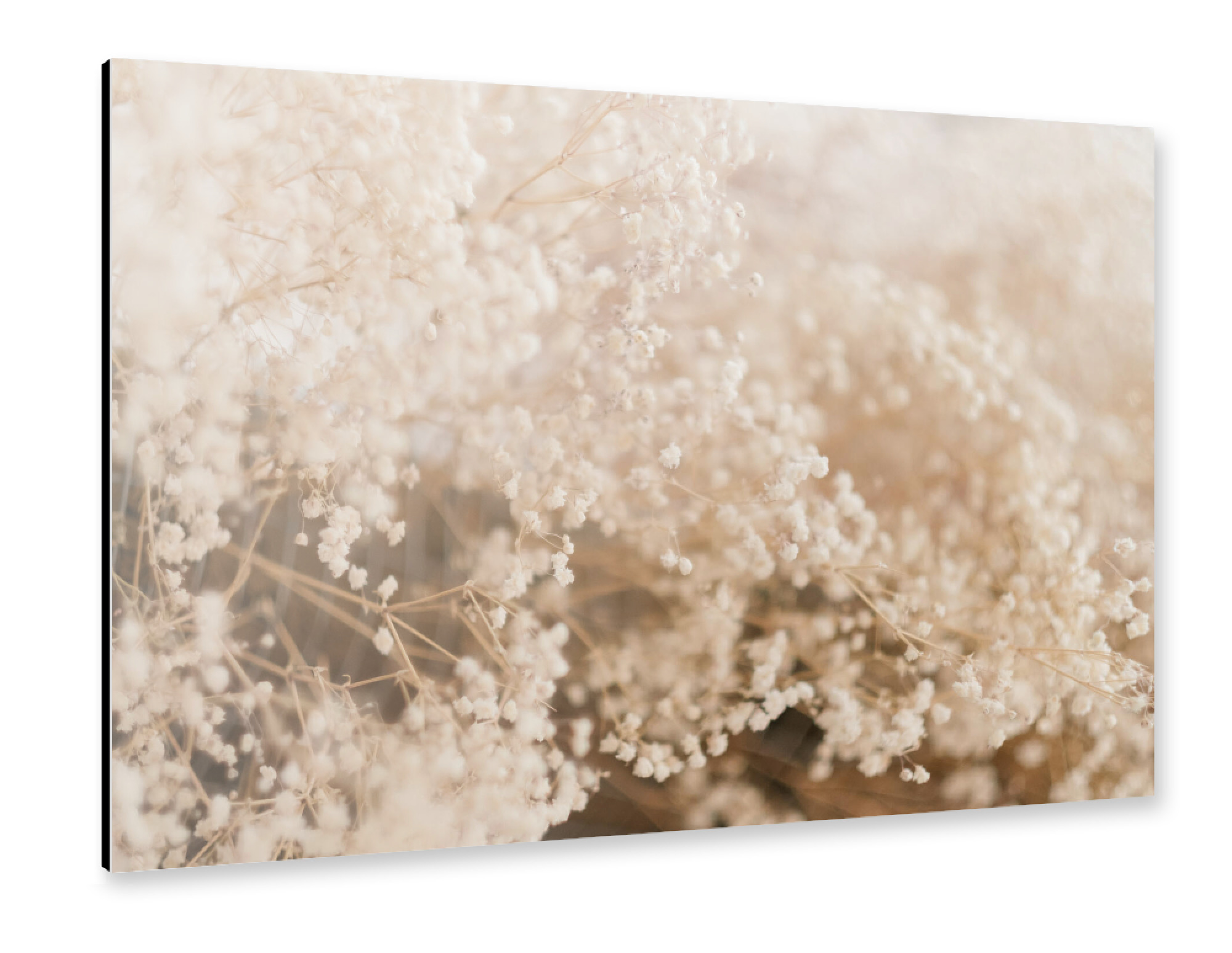 Alu-Dibond "Dried foliage composition" 75x50 cm artboxONE