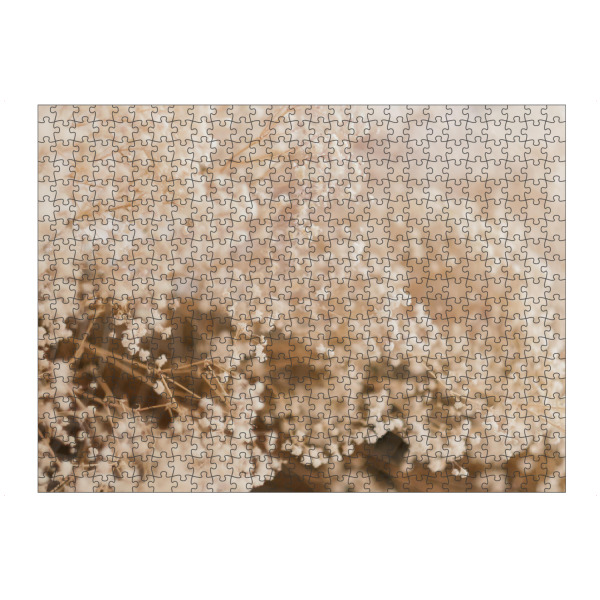 Puzzle Ravensburger "Dried foliage composition" artboxONE - Natur,Floral